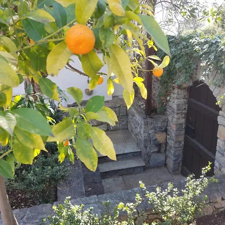 Lito's Dream By The Sea! アマイヤポリ