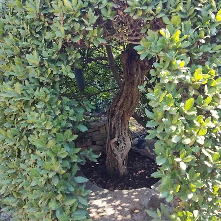 ヴィラ Lito's Dream By The Sea! アマイヤポリ