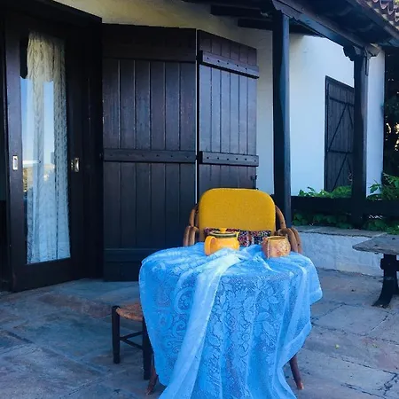 Lito's Dream By The Sea! アマイヤポリ