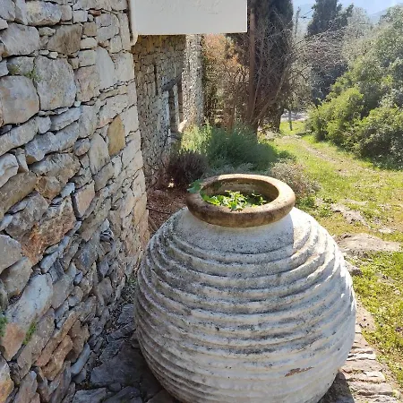 Lito's Dream By The Sea!