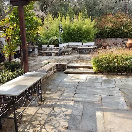 Lito's Dream By The Sea!