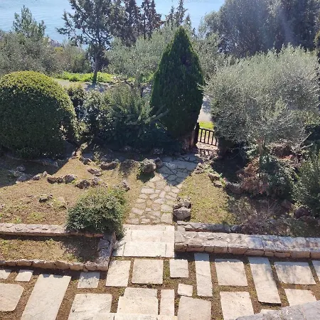 Lito's Dream By The Sea! *