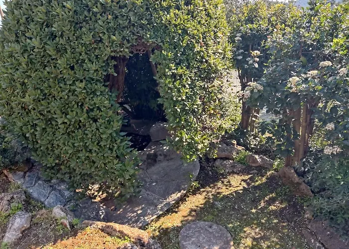 Villa Lito's Dream By The Sea!