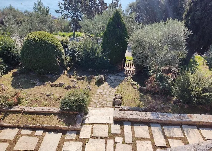 Lito's Dream By The Sea! *