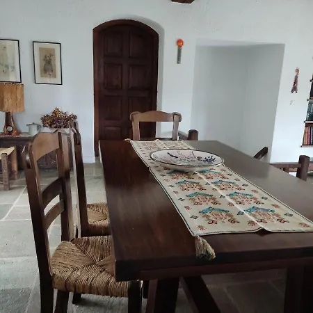 Lito's Dream By The Sea!