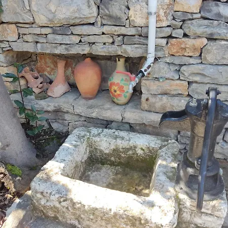 فيلة Lito's Dream By The Sea! *