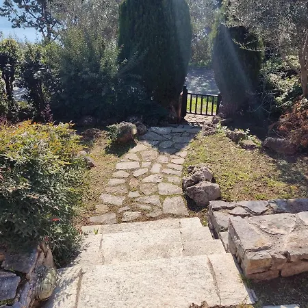 فيلة Lito's Dream By The Sea! *