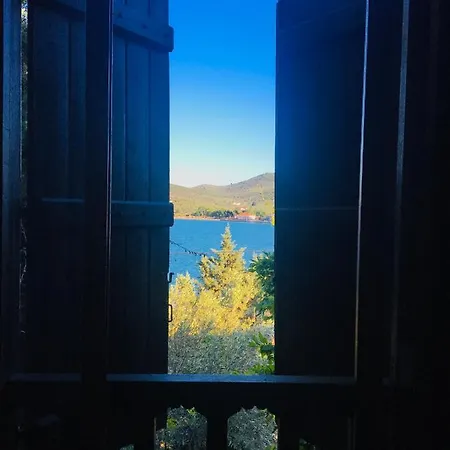 فيلة Lito's Dream By The Sea! أماليابوليس