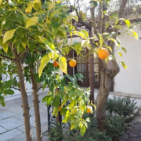 Lito's Dream By The Sea!