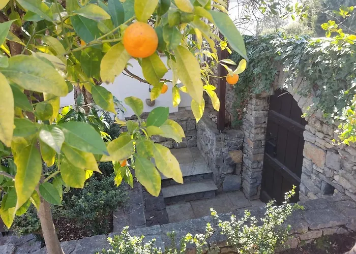 Lito's Dream By The Sea! Amaliápoli