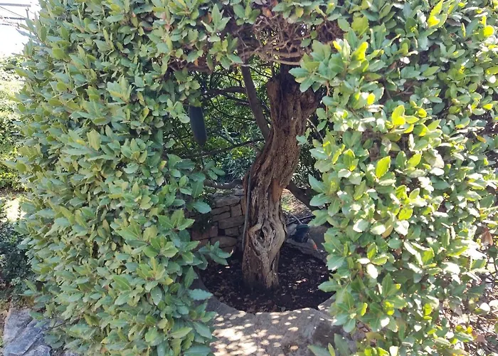 Villa Lito's Dream By The Sea! Amaliápoli