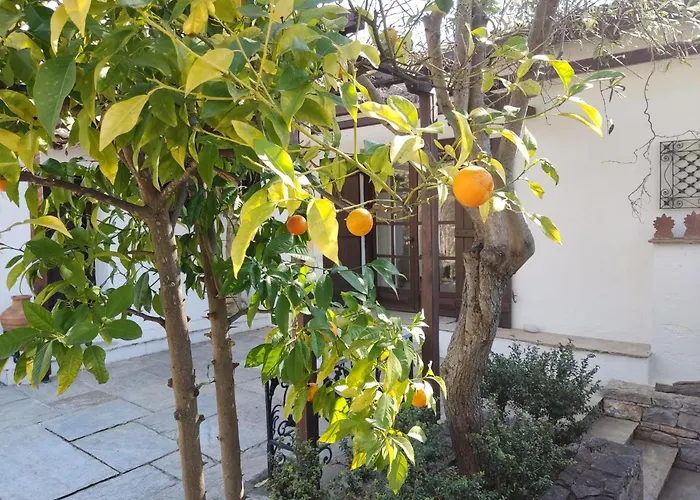 Lito's Dream By The Sea!